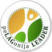 2013-02-25leader logo